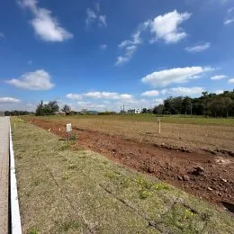Terreno, foto 4