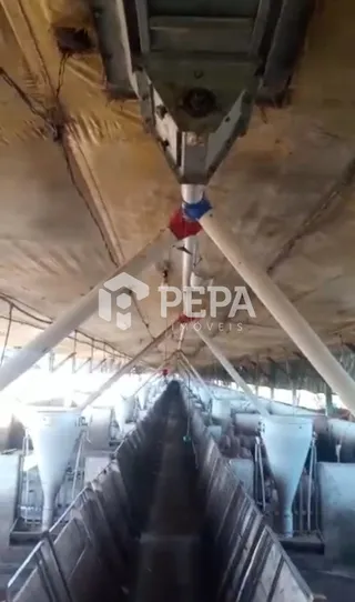 Área rural, foto 6