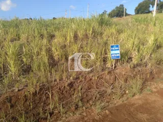 Terreno, foto 7