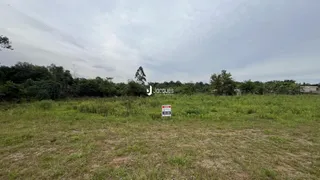 Campo gramado com vegetação ao fundo