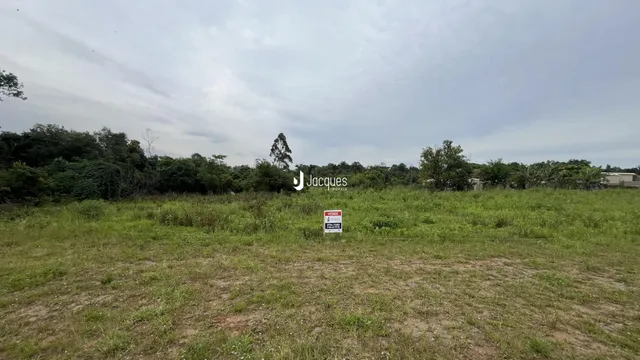 Campo gramado com vegetação ao fundo
