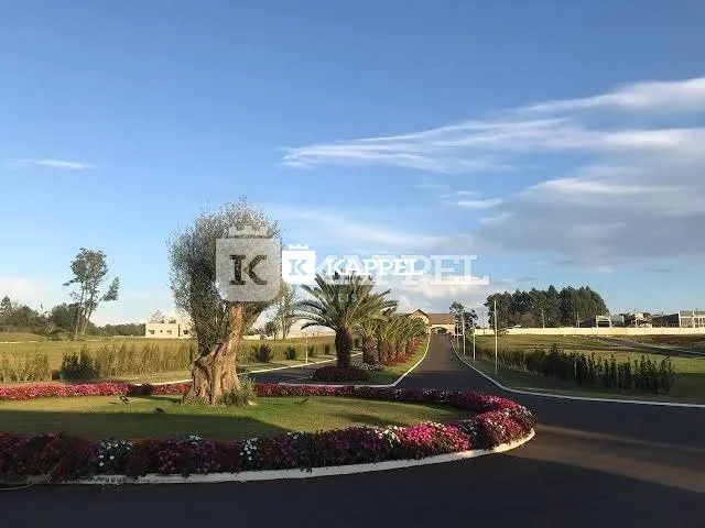 Vista de uma estrada com vegetação ao longo de uma paisagem aberta.