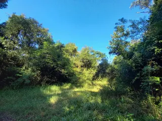 Área rural com 1 dormitório, foto 11
