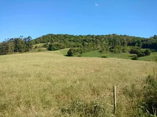 Vista de um campo aberto com colinas verdes sob um céu azul.