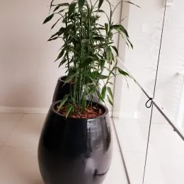 Apartamento com 3 dormitórios, foto 6
