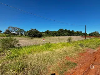 Paisagem de campo com vegetação e terra no primeiro plano.