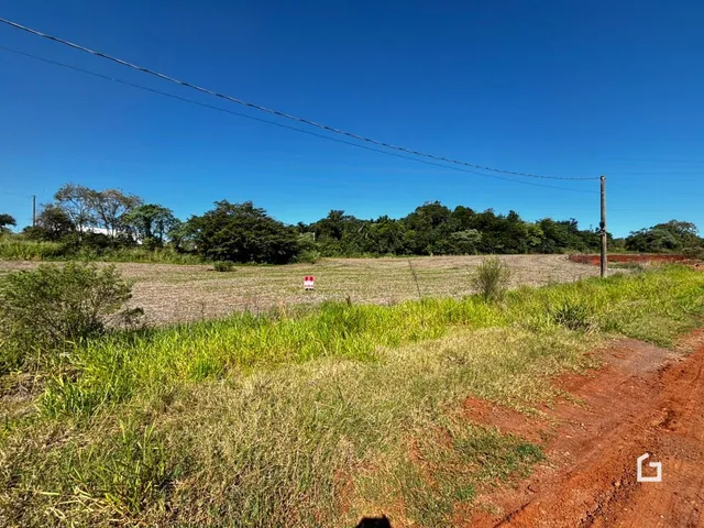 Paisagem de campo com vegetação e terra no primeiro plano.