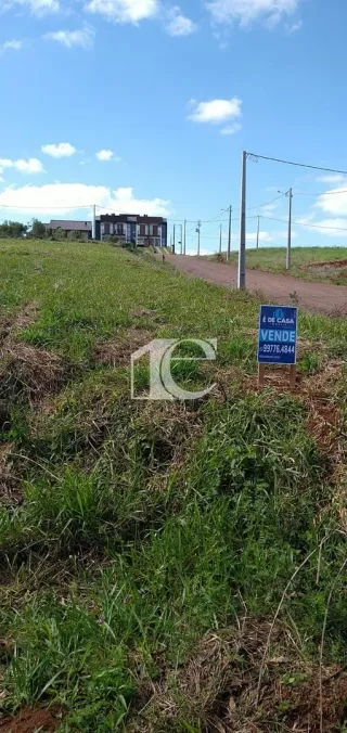 Terreno, foto 5