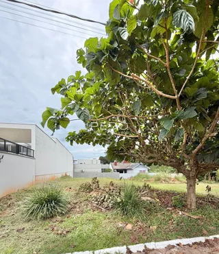 Vista externa de um terreno com vegetação e grama no Brasil.