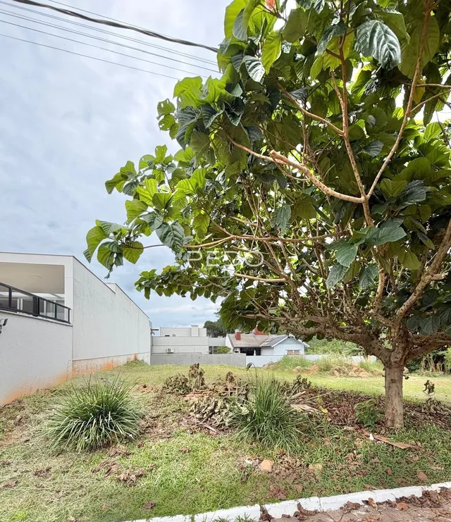 Vista externa de um terreno com vegetação e grama no Brasil.
