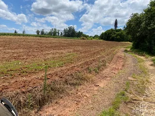 Vista de um campo de terra seca com vegetação rasteira e uma trilha de terra.