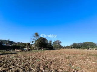 Terreno, foto 6