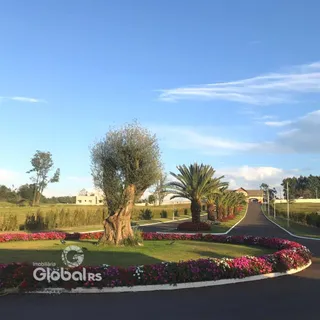 Paisagem de uma rua arborizada com jardins floridos e palmeiras.