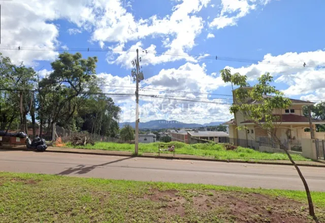 Vista externa de uma propriedade com vegetação e uma estrada.