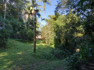 Vista externa mostrando vegetação densa e um caminho verde em uma área arborizada.