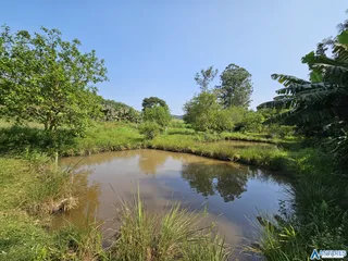 Área rural, foto 3