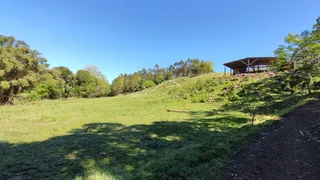 Vista de um campo gramado com vegetação e uma estrutura de madeira na encosta.