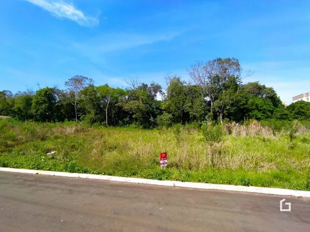 Terreno, foto 2