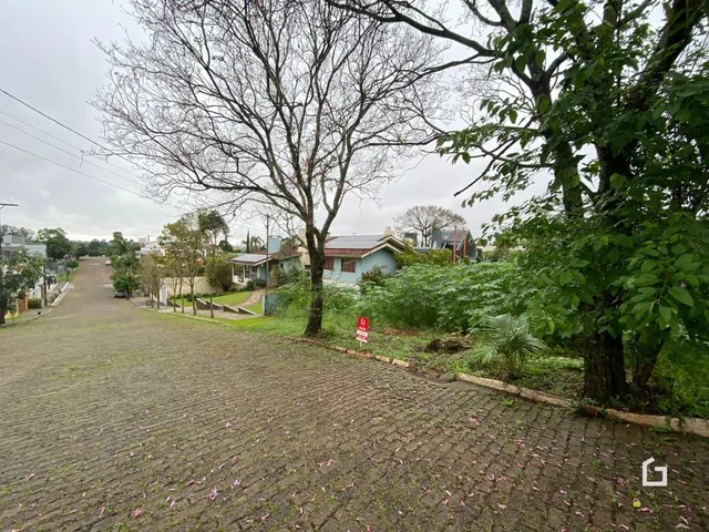 Terreno, foto 2