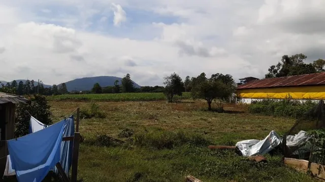 Área rural com 3 dormitórios, foto 3