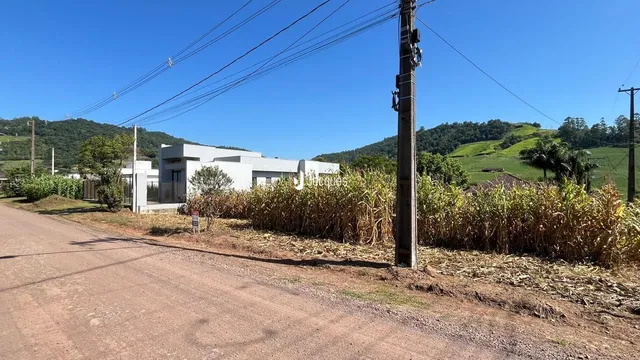 Vista externa da propriedade em Lajeado, Brasil, com vegetação alta no primeiro plano.