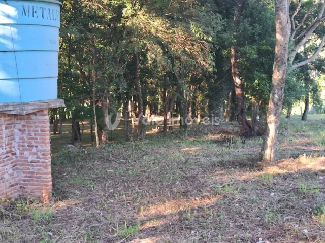 Área rural, foto 5