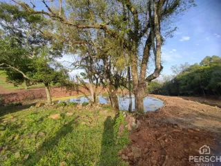 Vista externa de uma área com árvores e solo exposto em Lajeado, Brasil.