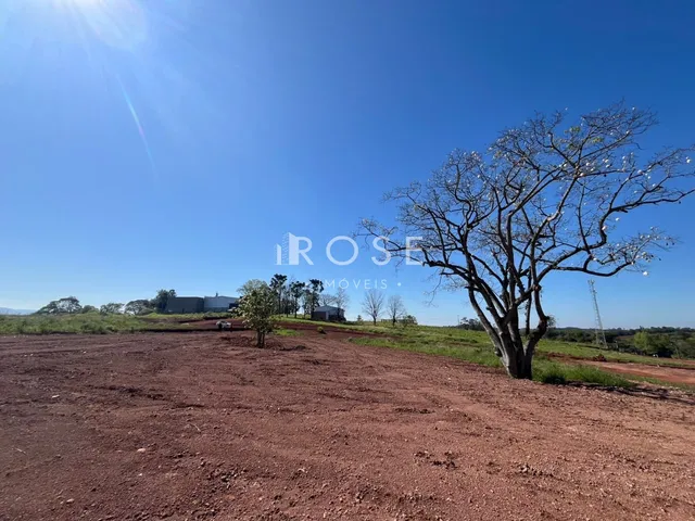 Terreno, foto 4