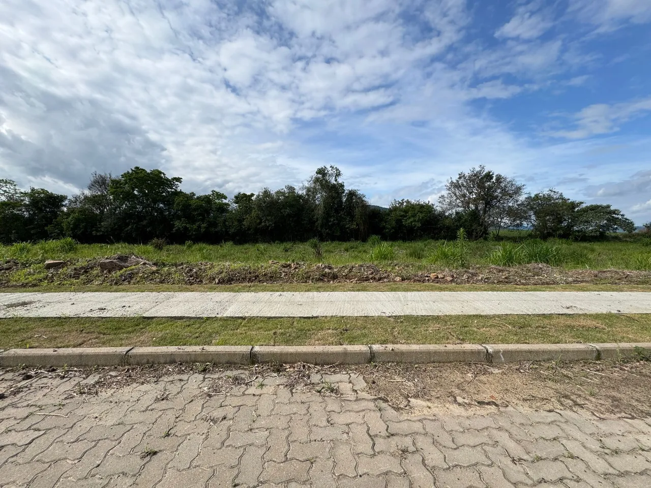 Uma vista externa mostrando uma área de campo com vegetação e uma estrada no primeiro plano.