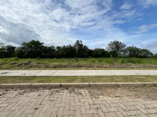 Uma vista externa mostrando uma área de campo com vegetação e uma estrada no primeiro plano.