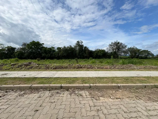 Uma vista externa mostrando uma área de campo com vegetação e uma estrada no primeiro plano.