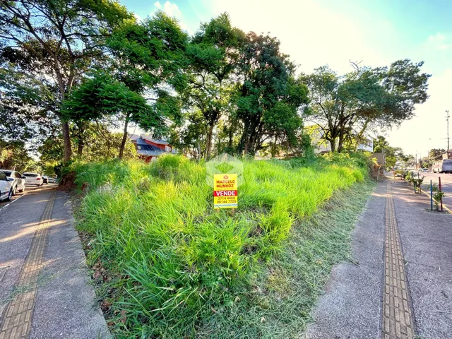 Terreno