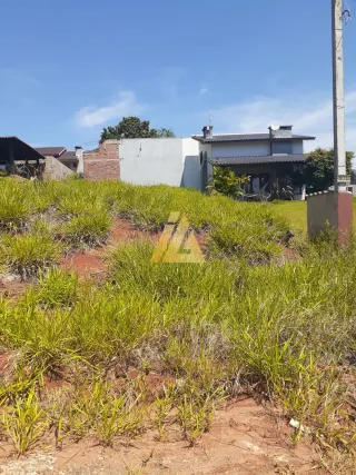 Terreno, foto 4