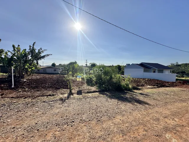 Vista externa de um terreno com vegetação e uma residência ao fundo.