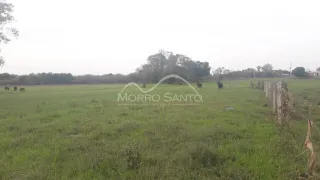Vista de um campo aberto com vegetação verde.