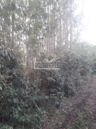 Área rural, foto 7