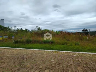 Paisagem de vegetação e área pavimentada em Lajeado.