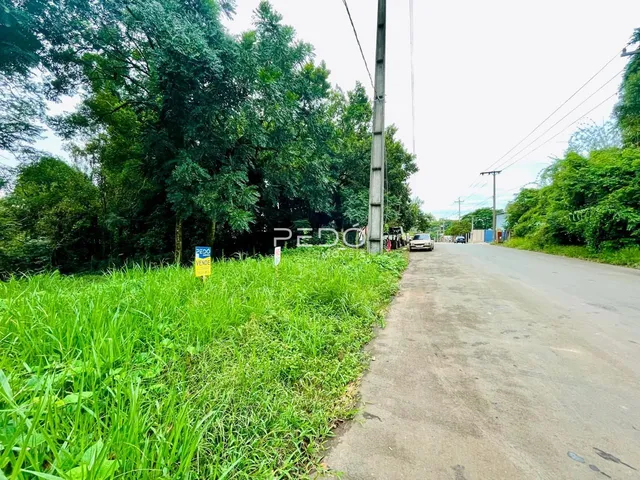 Terreno, foto 2