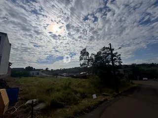 Vista da propriedade com vegetação e estrada no campo.