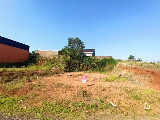 Terreno aberto com vegetação rasteira e árvores em Lajeado.