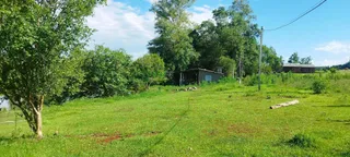 Área rural com 5 dormitórios, foto 18