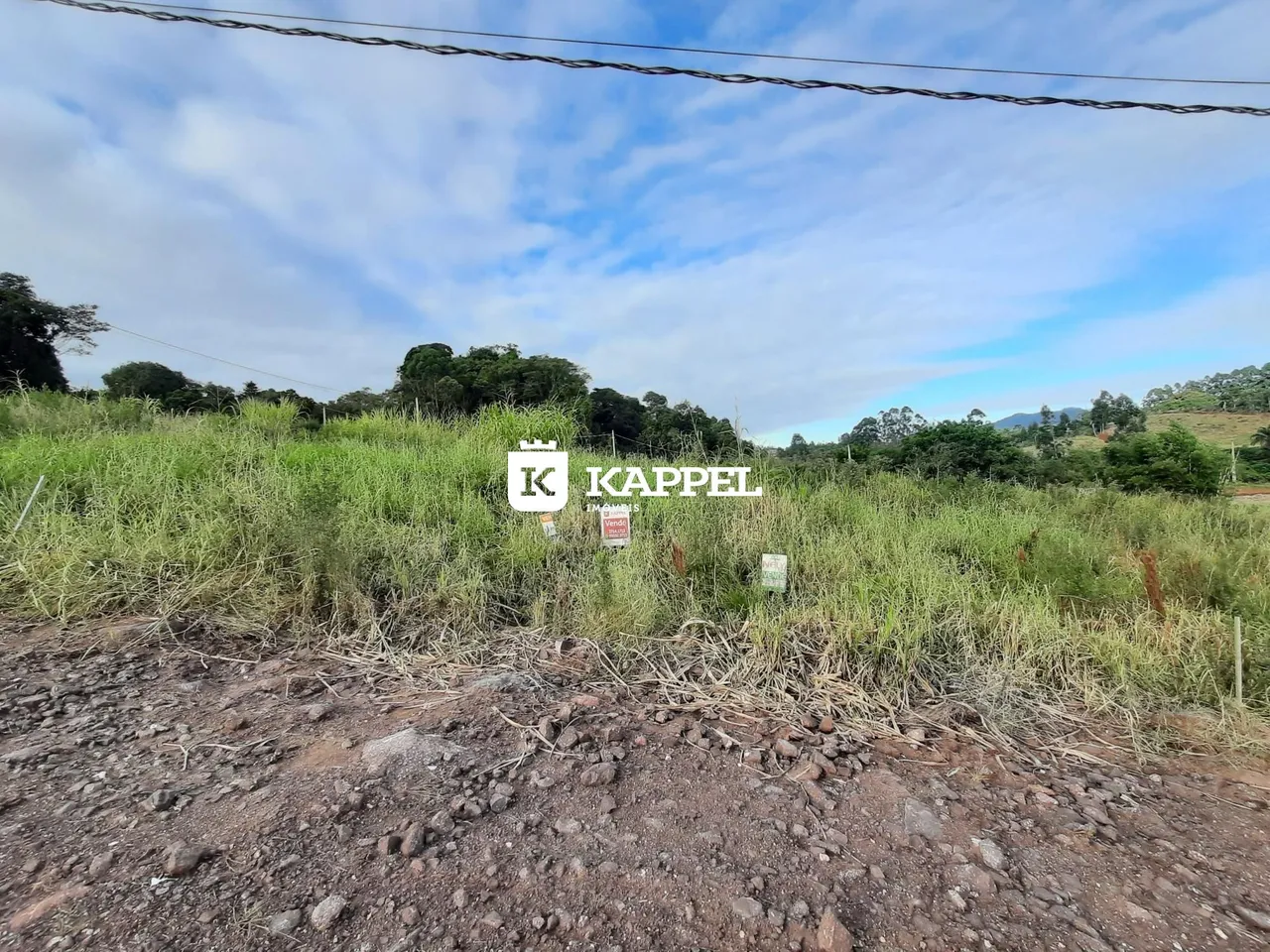Vista de campo com vegetação alta e céu azul no entorno da propriedade.