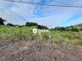 Vista de campo com vegetação alta e céu azul no entorno da propriedade.