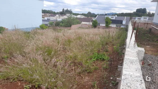 Terreno, foto 2