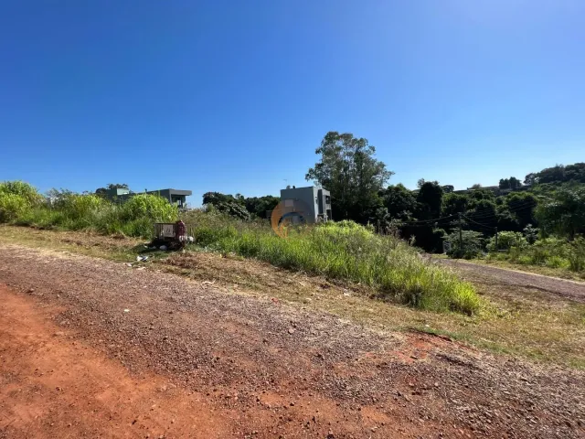 Terreno, foto 5