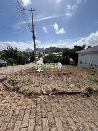 Terreno, foto 1