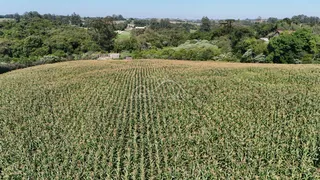 Vista aérea de um campo de cultivo de plantas verdes sob um céu claro.