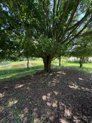 Área rural com 2 dormitórios, foto 1