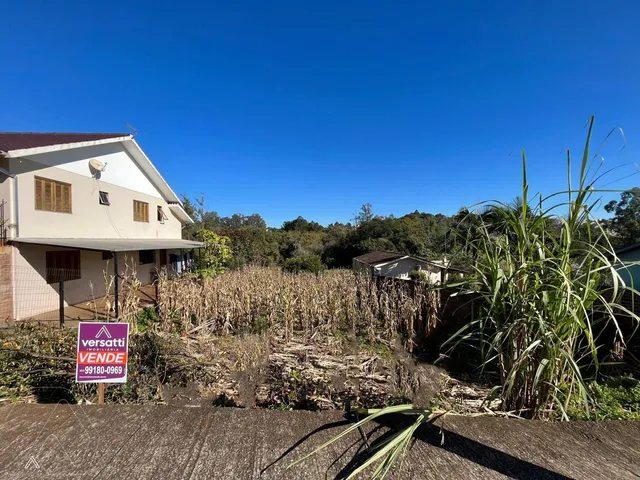 Terreno, foto 2
