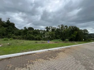 Terreno, foto 7